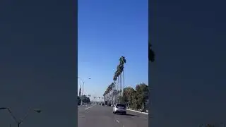 City of Inglewood, CA! Driving around town. #california #losangeles #inglewood #drives #beauty