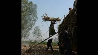 Global employment in 2026: A fragile stability