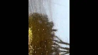 Oil & Corexit Destroying My Island, Destin, FL