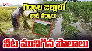 గద్వాల జిల్లాలో భారీ వర్షాలు. | Heavy Rains In Gadwal District | CVR NEWS