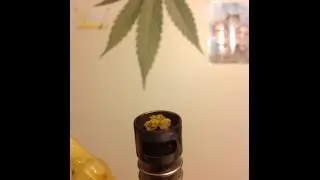 Jay's Entry - StrainCentral #2 Giveaway