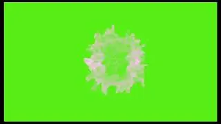 Beautiful love green screen | Valentine's day editing video