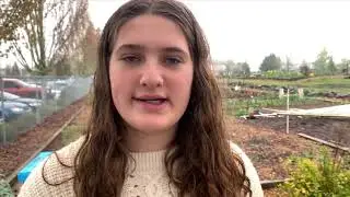 Bee-Wise with Lily Episode 2