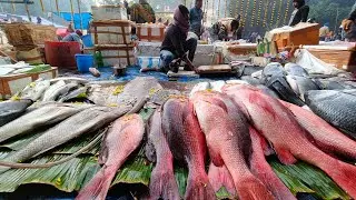 Biggest Fish Fair in Bengal? 🐟 500-Year-Old Kestopur Macher Mela!