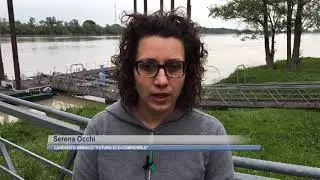 Comuni al voto: i candidati di Riva del Po