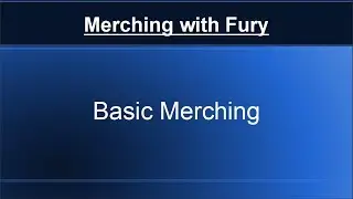 [CH] Fury's Merching Guide! (1/3)