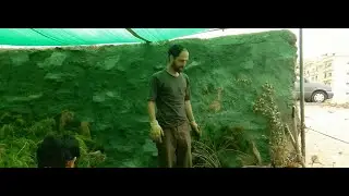tree plantation in islamabad helping to grow nature