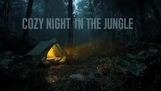 INSANE Tropical Rain Camping in the Jungle 🌧️ 24 Hours of Pure Nature
