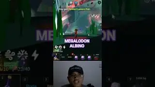 MEGALODON MUTASI APA INI??? $ #roblox #talon #fishit