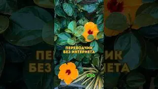 5/50 переводчик в путешествие без интернета