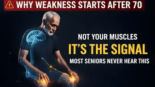 Why Weakness Starts After 70 | It&rsquo;s Not Your Muscles, It&rsquo;s the Signal Most Seniors Never Hear