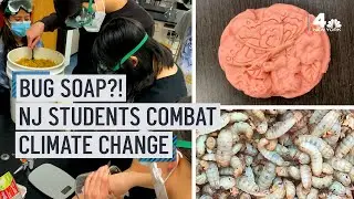 Bug Soap?! New Jersey Students Fight Climate Change and Food Waste | NBC New York