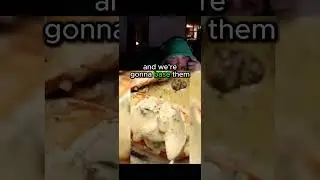 Case oh looks how to #pleasesubscribe #spongebobvr #vr #duet #funny #donttellthebride  #birds