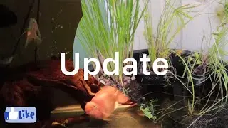 75 gal tank and stock tank update