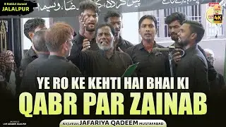 Ye Ro Ke Kehti Hai Bhai Ki Qabr Par Zainab | Anjuman Jafariya Qadeem Mustafabad | Amari Mustafabad