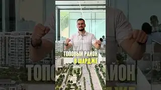 Какой район выбрать для спокойной жизни в Эмиратах?