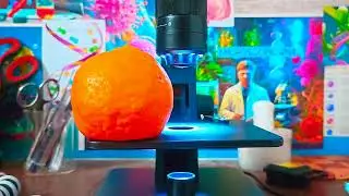 Orange / MILK @MICROSCOPICDNA #hmpvvirus #microscopeview #trending #youtube #viral_video #shots