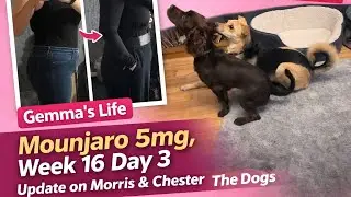 Mounjaro 5mg / Food Diary / New puppy update
