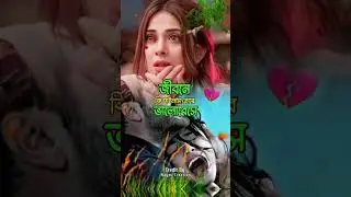 জীবনের আশা ভালোবাসা বেঁচে থাকার অবলম্বন তুমি আমার।