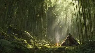 By The Bamboo Campfire 🌿 | South East Asia - Restpoint 7 (ASMR)