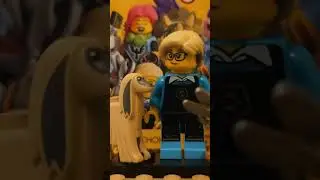 Lego Pet Groomer #lego #minifigure #stopmotion