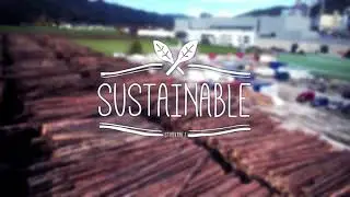 Starkraft image film