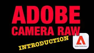 How to Use Adobe Camera Raw
