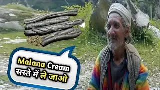 मलाणा जाते समय कुछ ऐसा हुआ हमारे साथ | Malana Cream | Pahadi Trekker