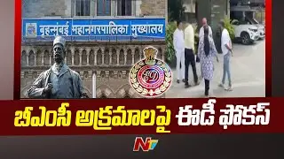 ED Raids in Mumbai in BMC scam | Ntv