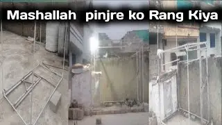 Mashallah❤️😍  pinjre ko pang kiya😘👍