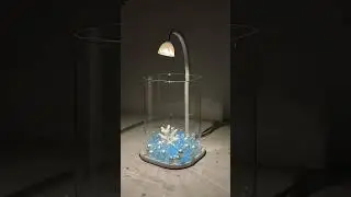 Wow*The fish in a wedding dress is absolutely stunning.#youtubeshorts#aquarium #fishing #youtube
