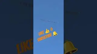 🚨BREAKING NEWS🚨 THE BANNERS ARE FLYING STRONG!! #nfl #miamidolphins #football #comedy #entertainment