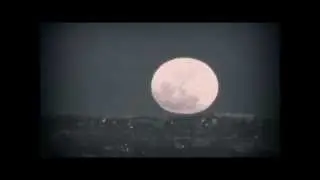 Extrawelt - Mit Liese Auf Der Wiese (Applescal Remix)