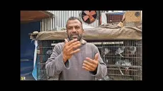 মানুষ মানুষের জন্যই  /  People for people