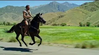 Epic Horse Race in 4K UHD | Speed, Power & Beauty