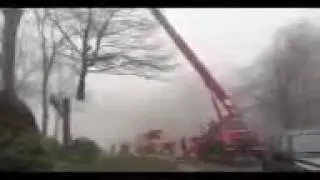 Rockaway, NJ Tree Service
