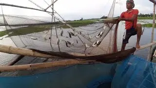 Khora fishing❤️❤️Catching loft of sor puti fish By Unbelievable net😆