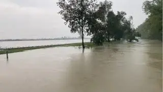 Il video degli allagamenti a Budrio e a Selva Malvezzi dopo la rottura dell'Idice