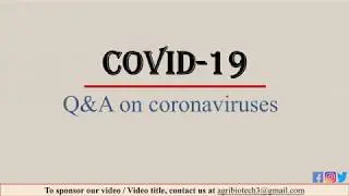 Coronavirus COVID 19 disease | Questions and answers on coronavirus | FAQs of COVID-19