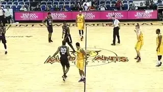 Bat on the loose! Flying visitor delays start of Fort Wayne Mad Ants game