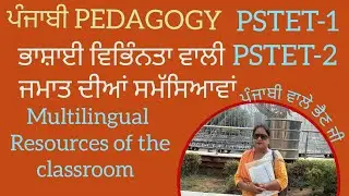 Punjabi Pedagogy-7 Multilingual Resources of the classroom.ਭਾਸ਼ਾਈ ਵਿਭਿੰਨਤਾ ਵਾਲੀ ਜਮਾਤ ਦੀਆਂ ਸਮੱਸਿਆਵਾਂ।