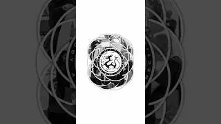 Wing Chun Den Haag 👉 wudae.com 👉 Body & Mind Connection 💥 Gratis proefles 💥 Free Trial class