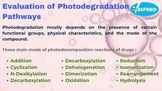 Evaluation of Photodegradation Pathways