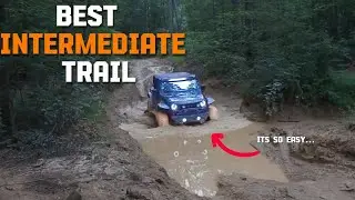 THE JEEP RETURNS TO THE WOODS OF ROYAL BLUE WMA