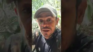 achando bebedouro #ca&ccedil;ador #ca&ccedil;a #pescador #pesca