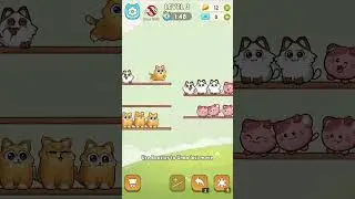 Cat Sort Puzzle - Gameplay - Cute Puzzle game with Cats! Level 3 #cat #cats #funnycats
