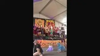 Palm creek folk festival ukulele group