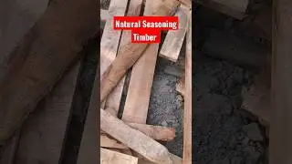 Natural Seasoning of Timber #Timber seasoning #wood drying #civilengineering #youtubeshorts #shorts