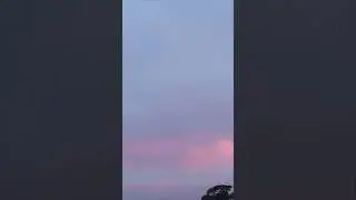 Pink Skies Like This Don&rsquo;t Feel Normal
