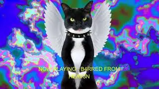 B4RRED FROM HEAV3N [LAZY VISUALIZER]